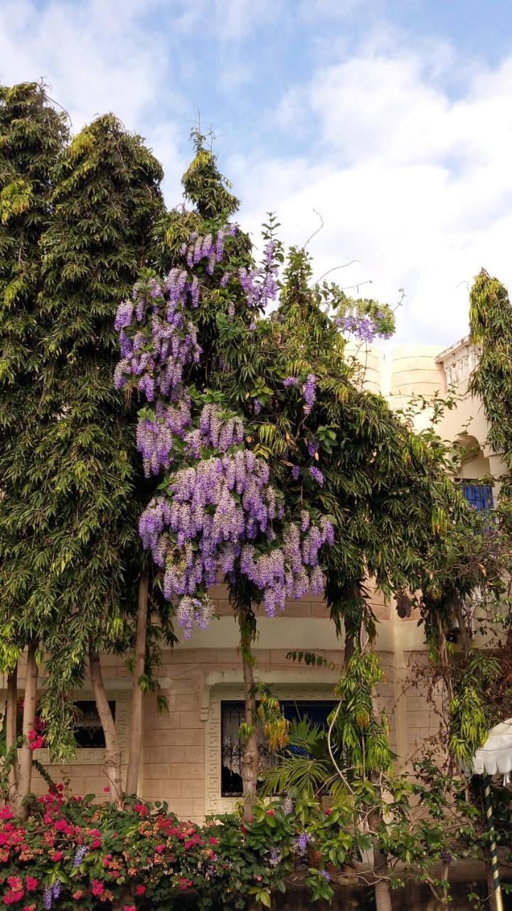 Jacyjoka Apartments Nyali Mombassa Buitenkant foto